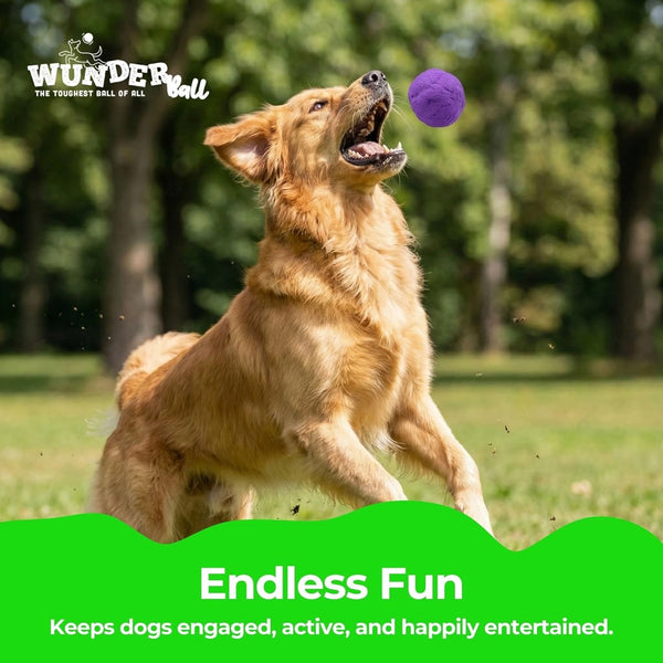 Wunderball Dog Toy