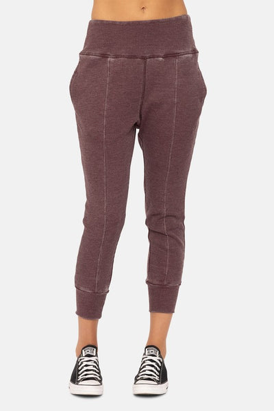 Plum Mineral Wash Joggers