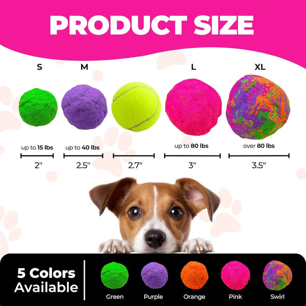 Wunderball Dog Toy