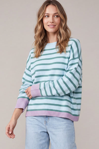 Blue Stripe Contrast Trim Sweater