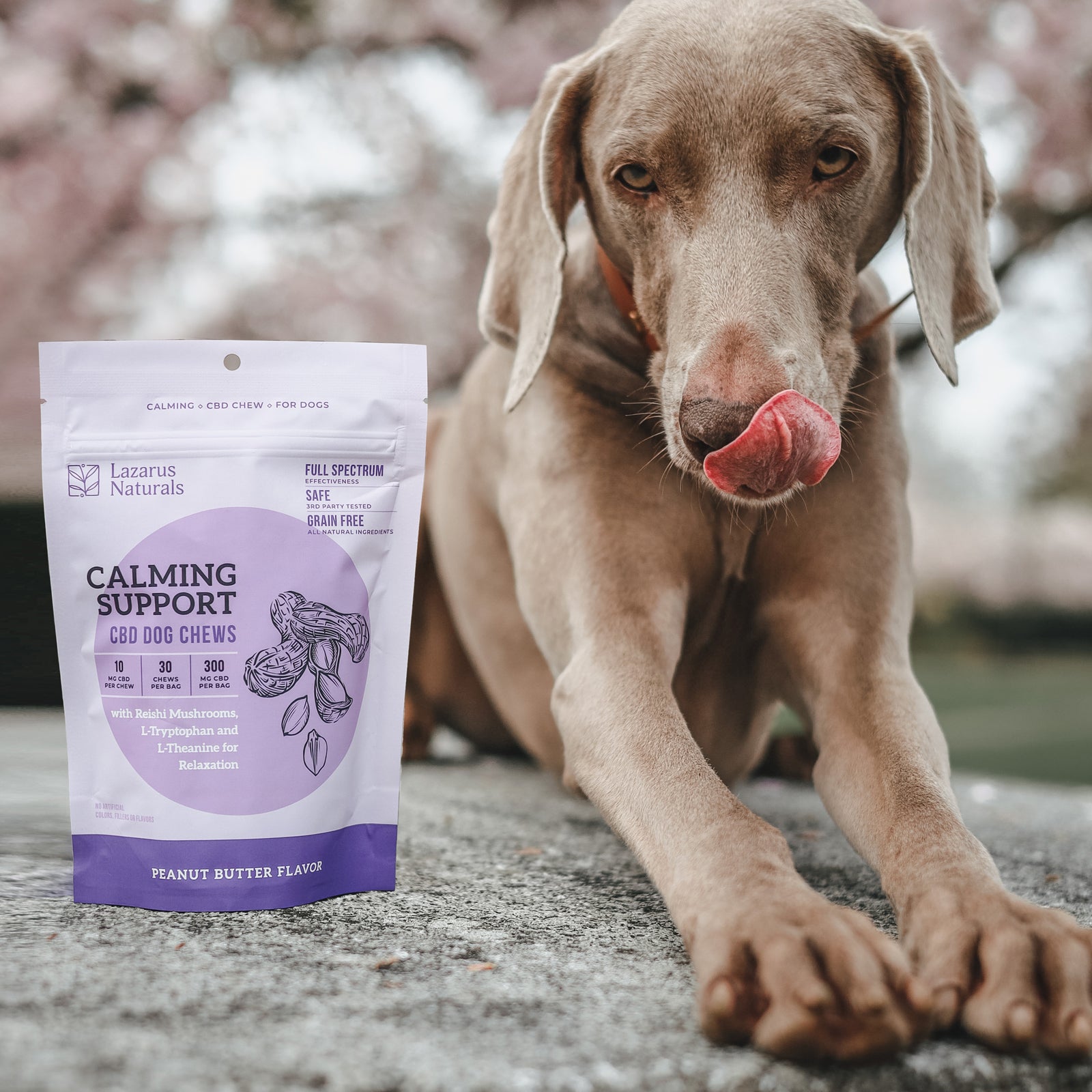 Peanut Butter Dog Chews Calming Support - 10mg (30 ct)