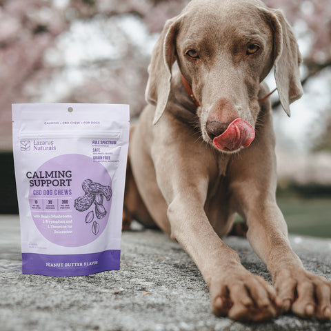 Peanut Butter Dog Chews Calming Support - 10mg (30 ct)