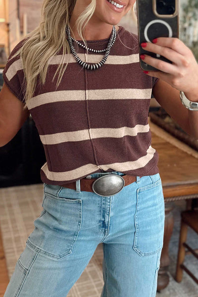 Brown Stripe Knit Short Sleeve Sweater
