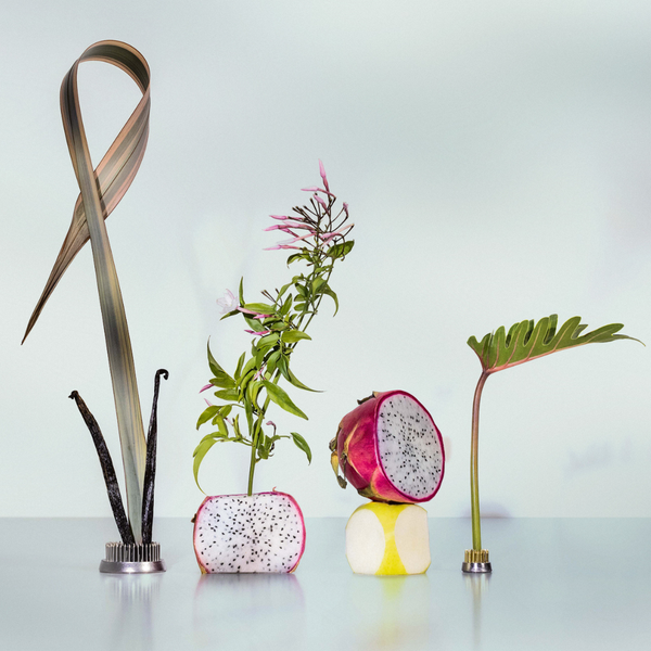 Good Chemistry Pink Palm Body Mist