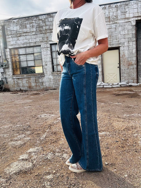 Mica Sawyer High-Rise Side Panel Wide Leg