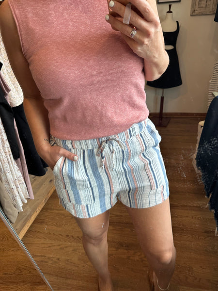 Denim Stripe Cotton Shorts