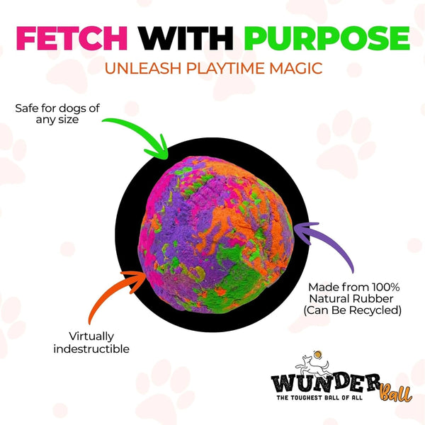 Wunderball Dog Toy