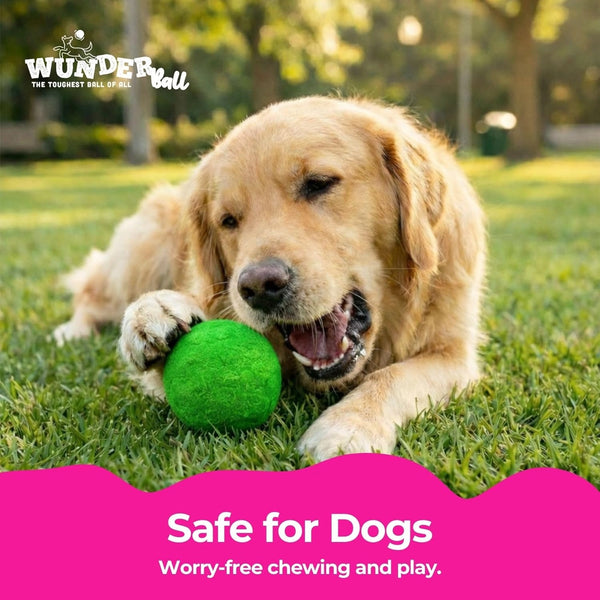 Wunderball Dog Toy