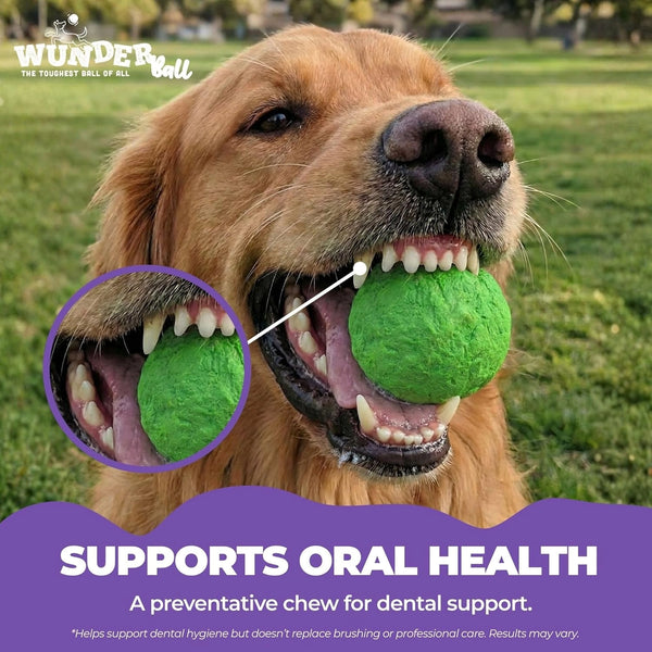Wunderball Dog Toy